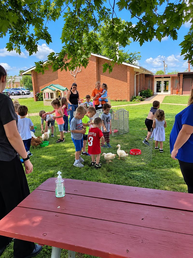 Children and teachers on the lawn outside St. Luke's meeting visiting ducks